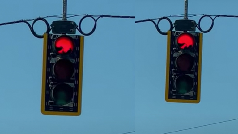 Φωλιά πουλιών σε φανάρι