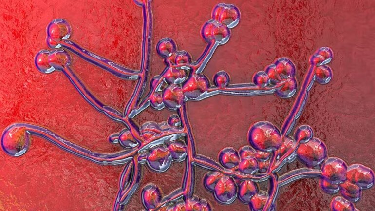 Τα αντιβιοτικά μπορούν να οδηγήσουν σε απειλητική μυκητιασική λοίμωξη λόγω Candida