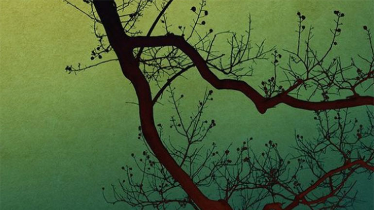 «Things Come Slowly»: Μια έκθεση των φωτογράφων Albarrán Cabrera στη Γενεύη