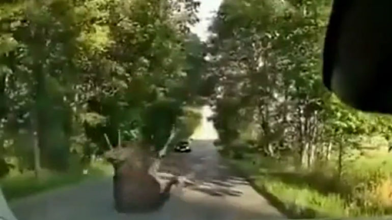 Καλά που δεν πάθαμε και τίποτα