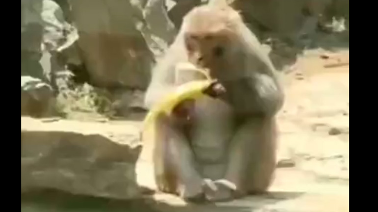 Όταν πέφτει κάτω το φαγητό