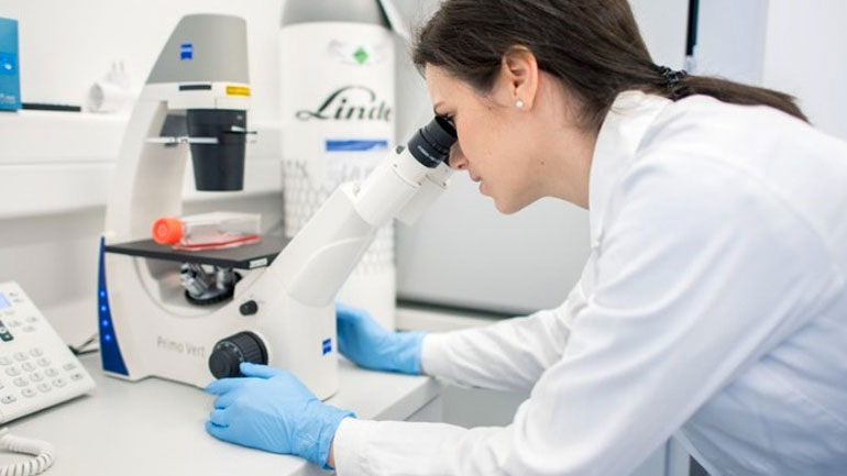 Το πρώτο περιστατικό ευλογιάς των πιθήκων καταγράφηκε στο Βέλγιο