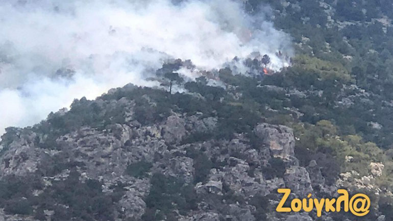 Πυρκαγιά σε δασική έκταση στο Λουτράκι – Αυξάνονται οι δυνάμεις της Πυροσβεστικής