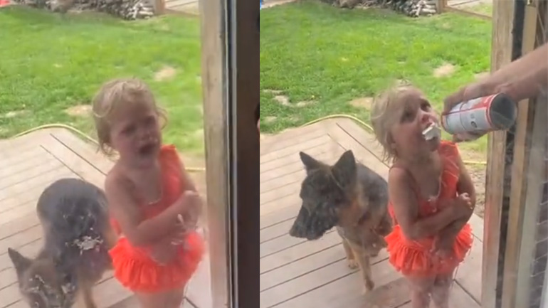 Το κόλπο με τη σαντιγί