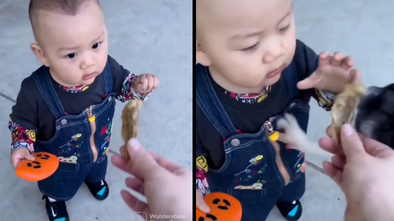 Mικρό παιδί εναντίον σκύλου