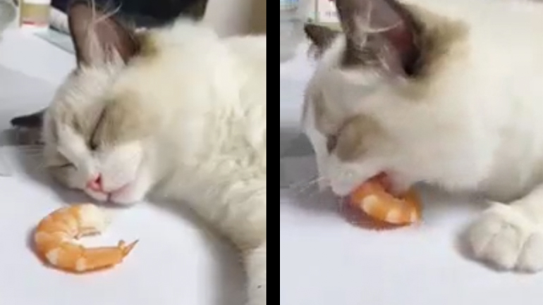 Όμορφο ξύπνημα