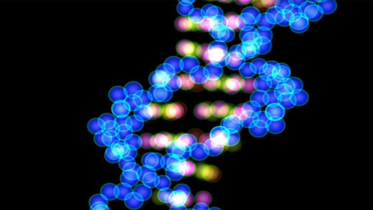 Υπάρχει μια γονιδιακή μετάλλαξη που εξασθενεί το ανοσοποιητικό μας σύστημα. Γιατί έχει επιβιώσει;