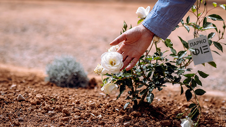 Η βιώσιμη ανάπτυξη ως μοναδική επιλογή προς το μέλλον – Οι δράσεις της Ολυμπιακής Ζυθοποιίας