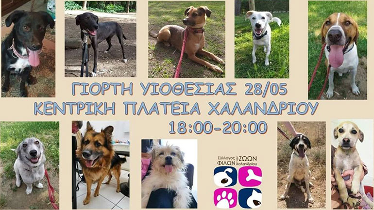 Ο Σταμάτης, η Αμάντα, ο Κοντός και τ’ άλλα…παιδιά, σας περιμένουν στην Κεντρική Πλατεία, το Σάββατο 28 Μαΐου