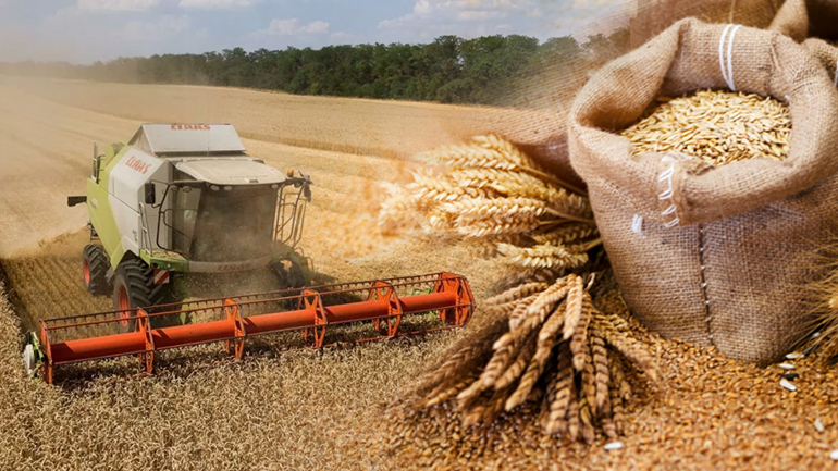 «Colpo grosso» της Mαφίας των Σιτηρών