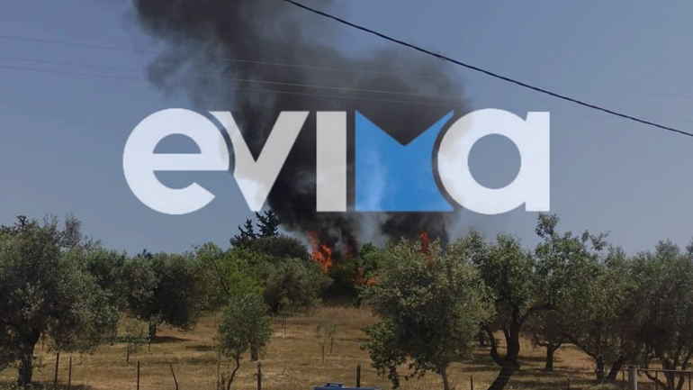Εύβοια: Φωτιά σε δασική έκταση στην Ερέτρια