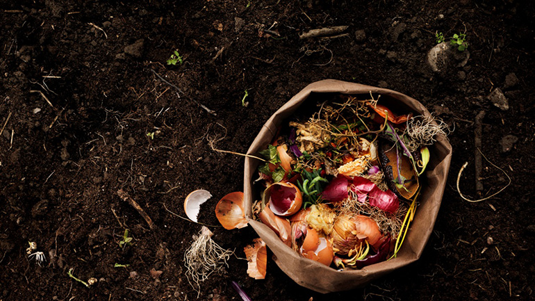 Μειώνοντας τη σπατάλη τροφίμων για μια καλύτερη ζωή Μειώνοντας τη σπατάλη τροφίμων για μια καλύτερη ζωή