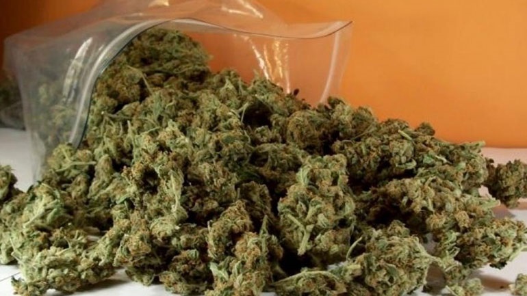 Καλαμάτα: Συνελήφθησαν δύο άνδρες για κατοχή κάνναβης