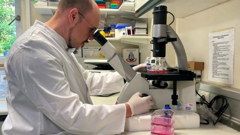 Το μυστήριο της παγκόσμιας εξάπλωσης της ευλογιάς των πιθήκων Το μυστήριο της παγκόσμιας εξάπλωσης της ευλογιάς των πιθήκων