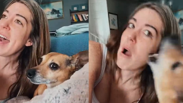 Ο σκύλος ήθελε να τραγουδήσει