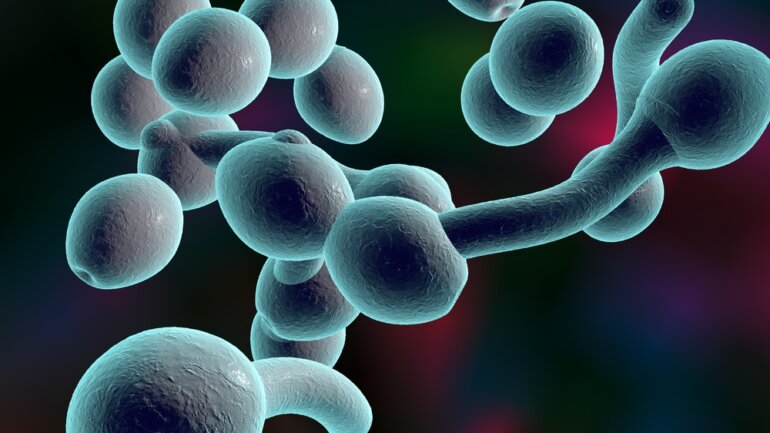 Τι πρέπει να ξέρετε για την κολπική καντιντίαση