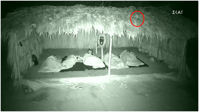 ΚΛΑΜΑ στο «Survivor»: Το Ναγκασάκι ωχριά μπροστά στο… Ποντικάκι