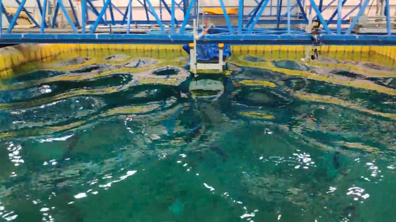 Ένα στάσιμο κύμα σε μια πισίνα 