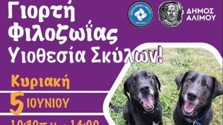 Το ραντεβού των φιλόζωων για τα αδέσποτα σκυλάκια στον Άλιμο