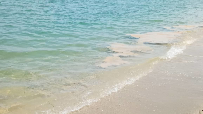 Παράπονα λουόμενων για λύματα στα παράλια του δήμου Τεμπών