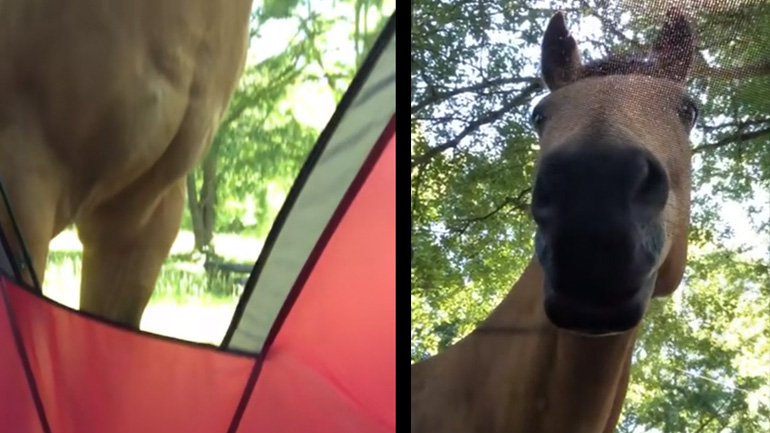 Κάποιος με παρακολουθεί