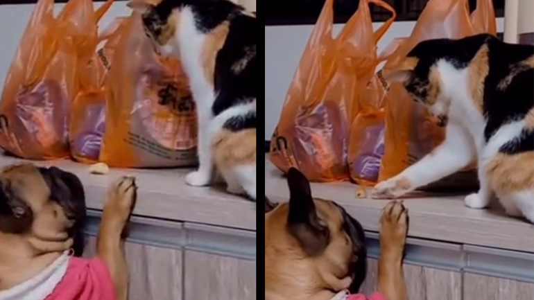 Χέρι βοηθείας 