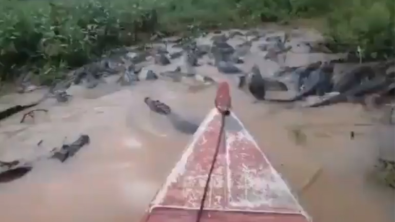 Βαρκάδα σε ποτάμι με κροκόδειλους