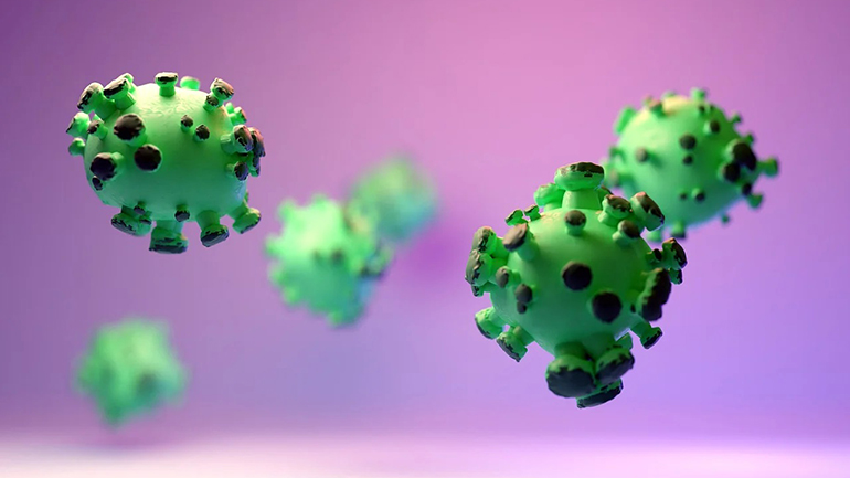 Ο αόρατος σπουδαίος κόσμος ή πώς οι μικροβιακές κοινότητες κατέχουν το κλειδί της ζωής