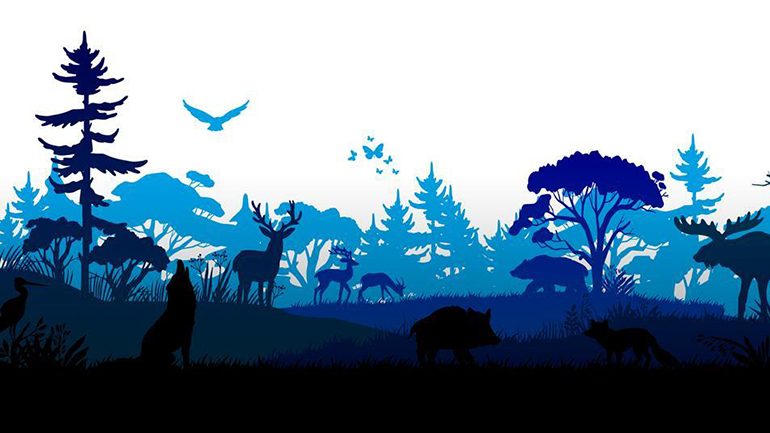 Η βιοποικιλότητα της Ελλάδας και η κλιματική αλλαγή