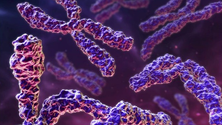 Ο ένας στους 500 άνδρες διαθέτει ένα έξτρα χρωμόσωμα Χ ή Υ, κάτι που αυξάνει τον κίνδυνο για την υγεία του