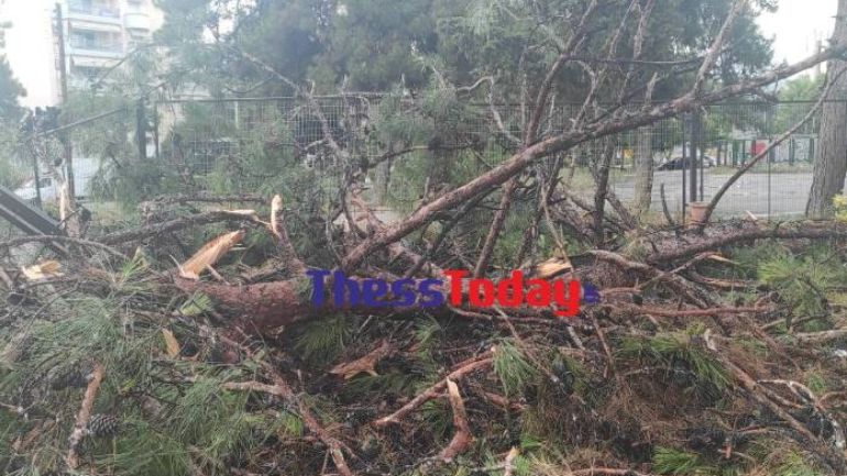 Η “Genesis” χτύπησε Γυμνάσιο και Λύκειο στην Καλαμαριά