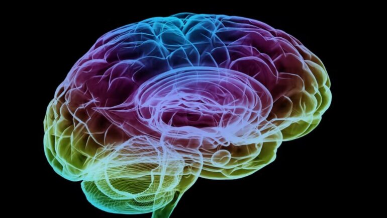 Τι συμβαίνει στον εγκέφαλο όταν καταναλώνετε υπερβολική γλυκόζη;