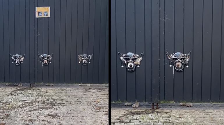 Γκαραζόπορτα με μάσκες για τους σκύλους