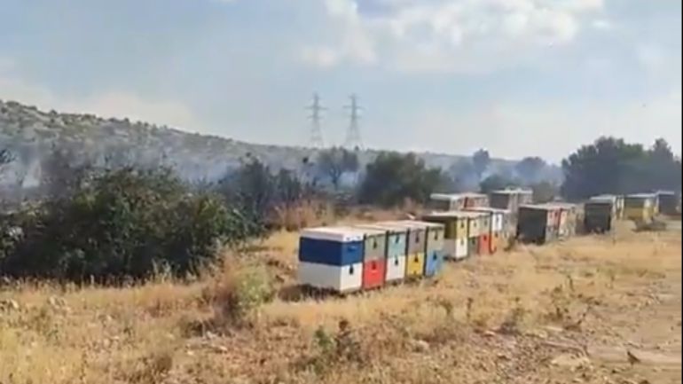 Πυροσβεστική: Επιβολή διοικητικού προστίμου για την πυρκαγιά στον Ασπρόπυργο