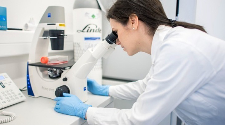 Μαύρη Πανώλη: Η μεγαλύτερη πανδημία στη μεσαιωνική Ευρώπη προήλθε από το Κιργιστάν