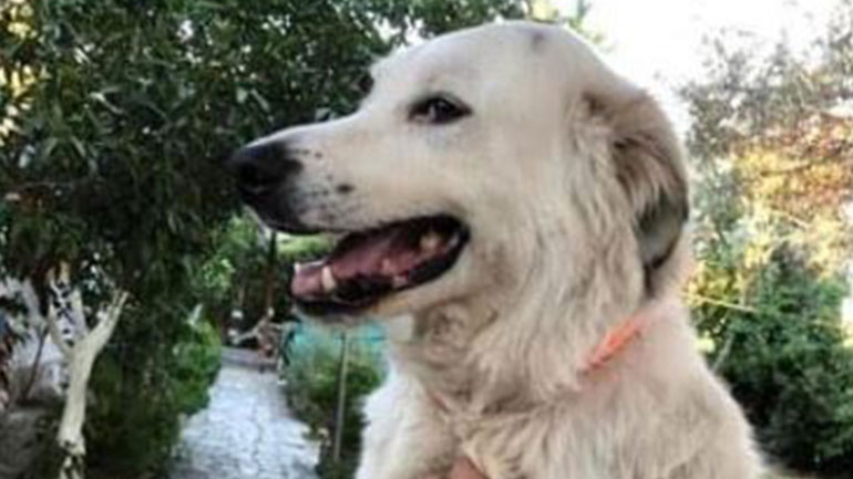 Χάθηκε ο Πάρης