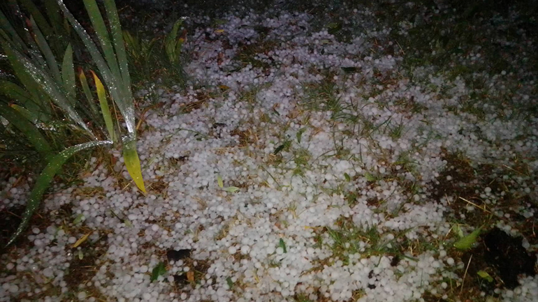 Γρεβενά: Μεγάλες ζημιές σε καλλιέργειες από χαλάζι