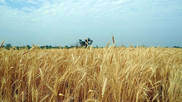 ΟΗΕ: Η επισιτιστική κρίση μπορεί να ξεριζώσει ακόμα περισσότερους ανθρώπους σε όλο τον κόσμο