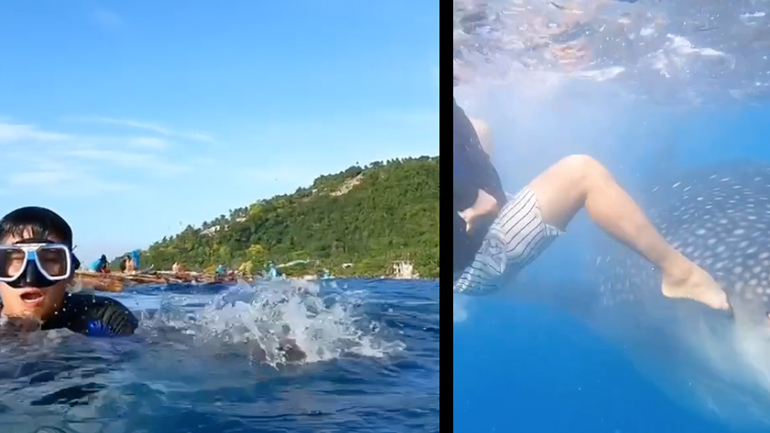 Κατάδυση θρίλερ