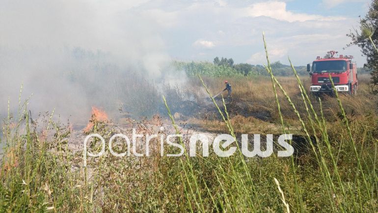 Πυρκαγιά σε ξερά χόρτα στο Βούρναγο Ηλείας