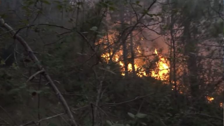 Ισπανία: Στις φλόγες χιλιάδες στρέμματα δάσους εν μέσω καύσωνα