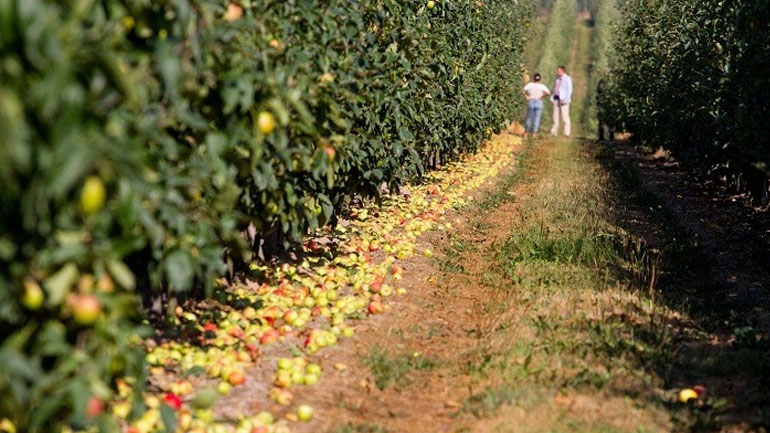 Γαλλία: Έστειλε 31 τόνους σπόρους λαχανικών στην Ουκρανία για να αντιμετωπίσει την επισιτιστική κρίση