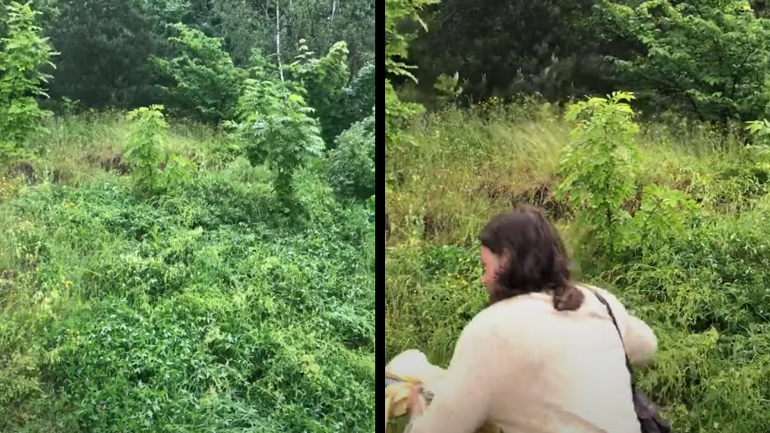 Περίεργος θόρυβος στο δάσος