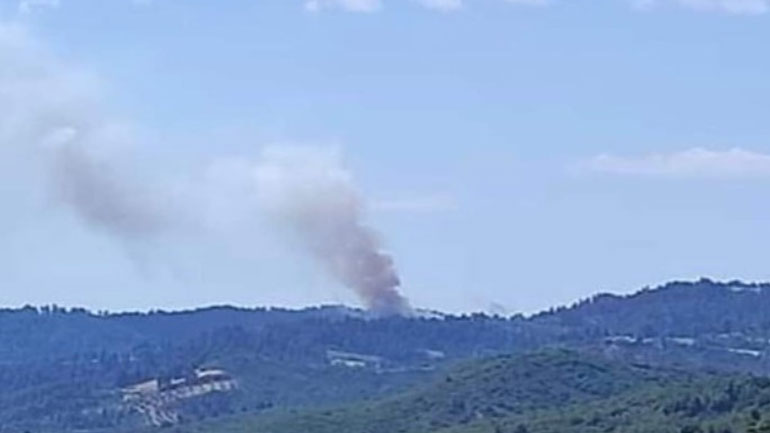 Χαλκιδική: Σε ύφεση η φωτιά σε δασική έκταση στην Κασσάνδρα
