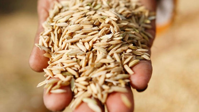 Οι ΥΠΕΞ της Ε.Ε. συζητούν για τα σιτηρά που παραμένουν αποκλεισμένα στα λιμάνια της Ουκρανίας