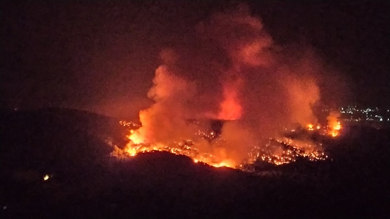 Πυρκαγιά σε δασική έκταση στην Ψάθα Αττικής