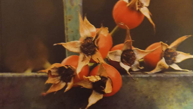 Θεσσαλονίκη: «Ανάσες γραφής» από κρατούμενους των φυλακών Διαβατών