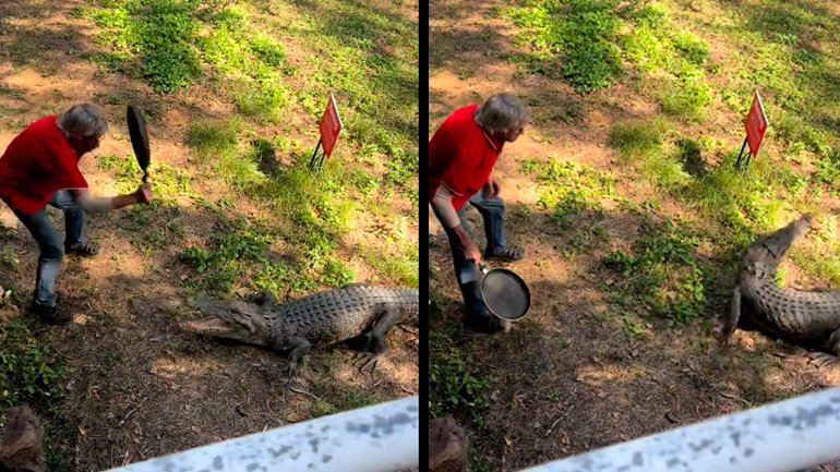 Αυστραλός εναντίον κροκόδειλου