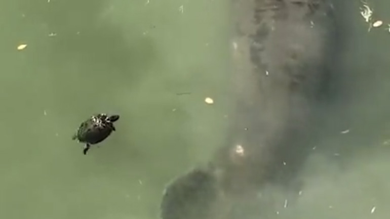 Αναστροφή και πίσω!