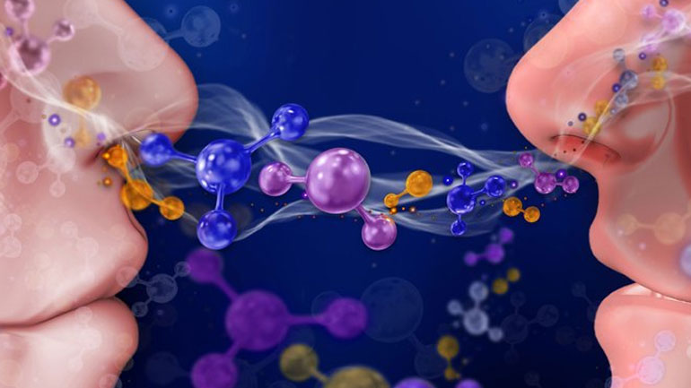 Ισραήλ: Η… μύτη ίσως να καθορίζει ποιοι άνθρωποι θα μπορούσαν να γίνουν φίλοι, σύμφωνα με έρευνα